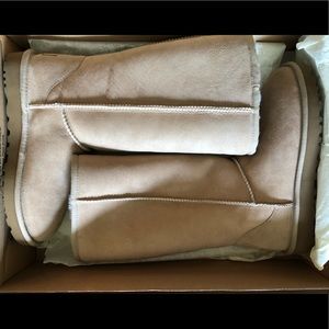 Classic Tall Uggs (Brand New!)